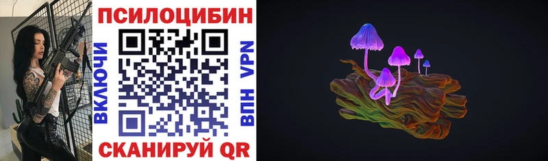 купить Баксан Галлюциногенные грибы Magic Shrooms